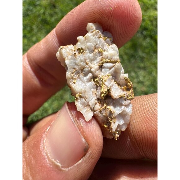 VERY RICH Gold in Quartz Specimen- California - 10.8 grams - Picture 6 of 12